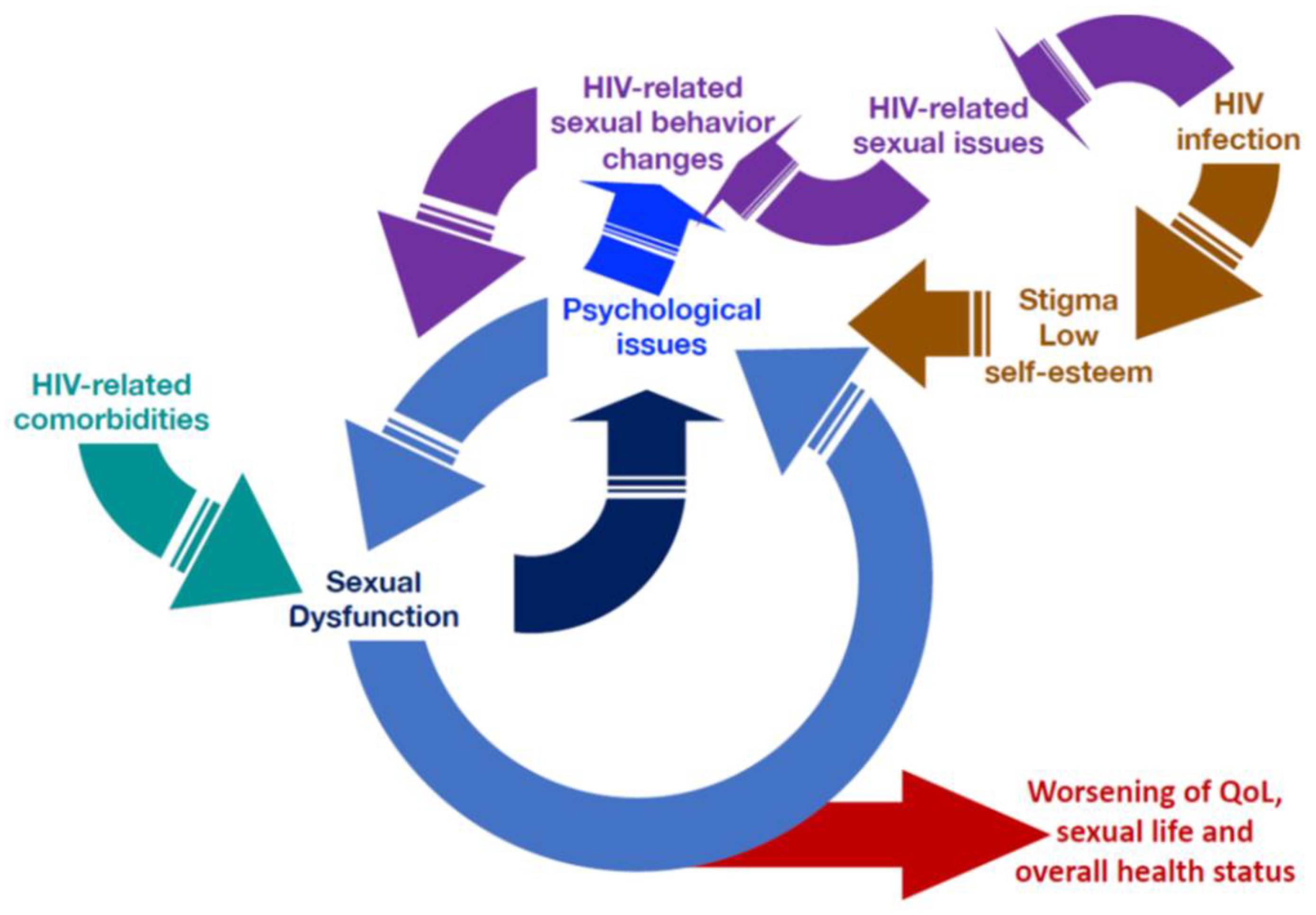 JCM Free Full-Text HIV and Sexual Dysfunction in image