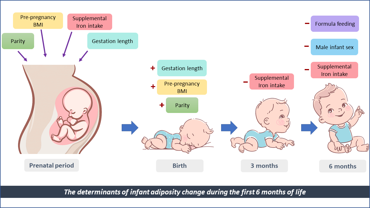 PDF) Effect of Continuing or Stopping Smoking during Pregnancy on Infant  Birth Weight, Crown-Heel Length, Head Circumference, Ponderal Index, and  Brain:Body Weight Ratio
