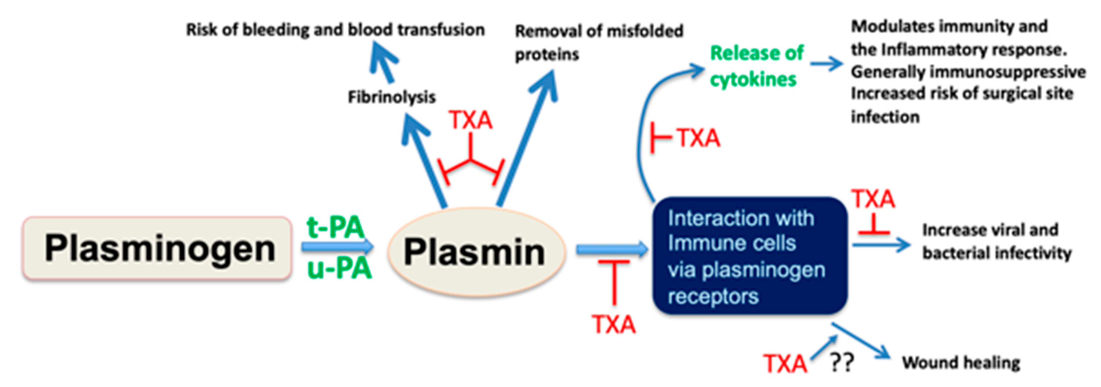 Jcm Free Full Text Plasmin Immunity And Surgical Site Infection