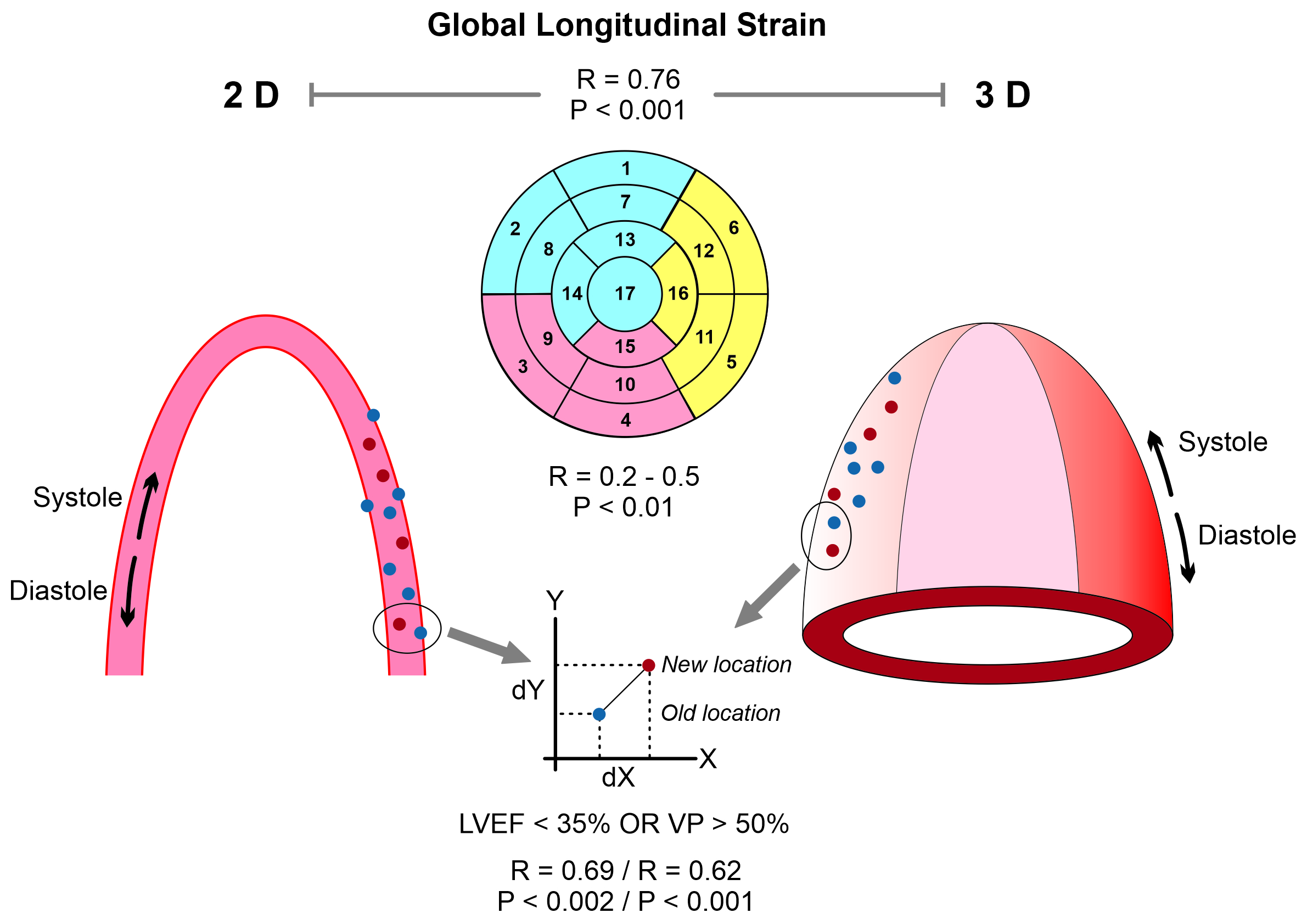 Left ventricular global strains by linear measurements in three