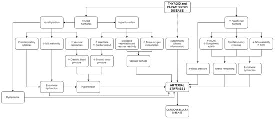 JCM | Free Full-Text | Arterial Stiffness in Thyroid and Parathyroid ...