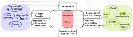 JCM | Free Full-Text | Knee Pain from Osteoarthritis: Pathogenesis ...