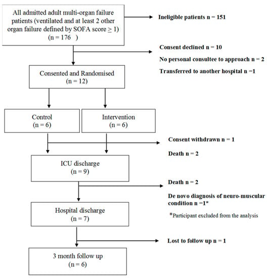 Jcm Free Full Text Safety And Feasibility Assessment Of Repetitive