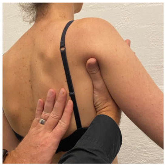 Shoulder Pain - What investigations should I order? - Sports Clinic NQ