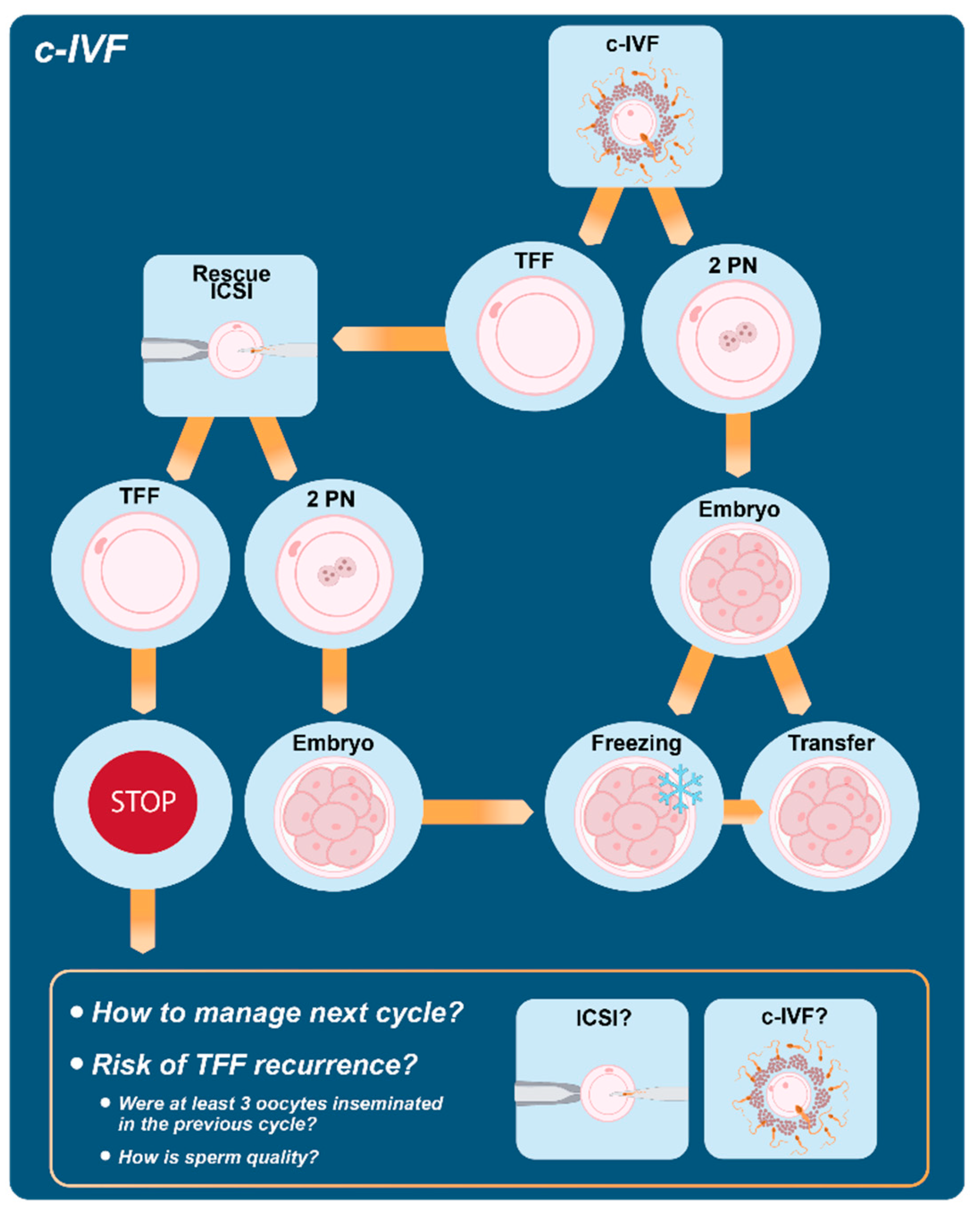 JCM Free Full Text Opportunities And Limits Of Conventional IVF JCM Free Full Text Opportunities And Limits Of Conventional IVF