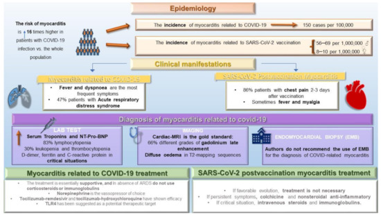 JCM Free Full Text Myocarditis Related To COVID 19 And SARS CoV 2   Jcm 11 06999 G001 550 