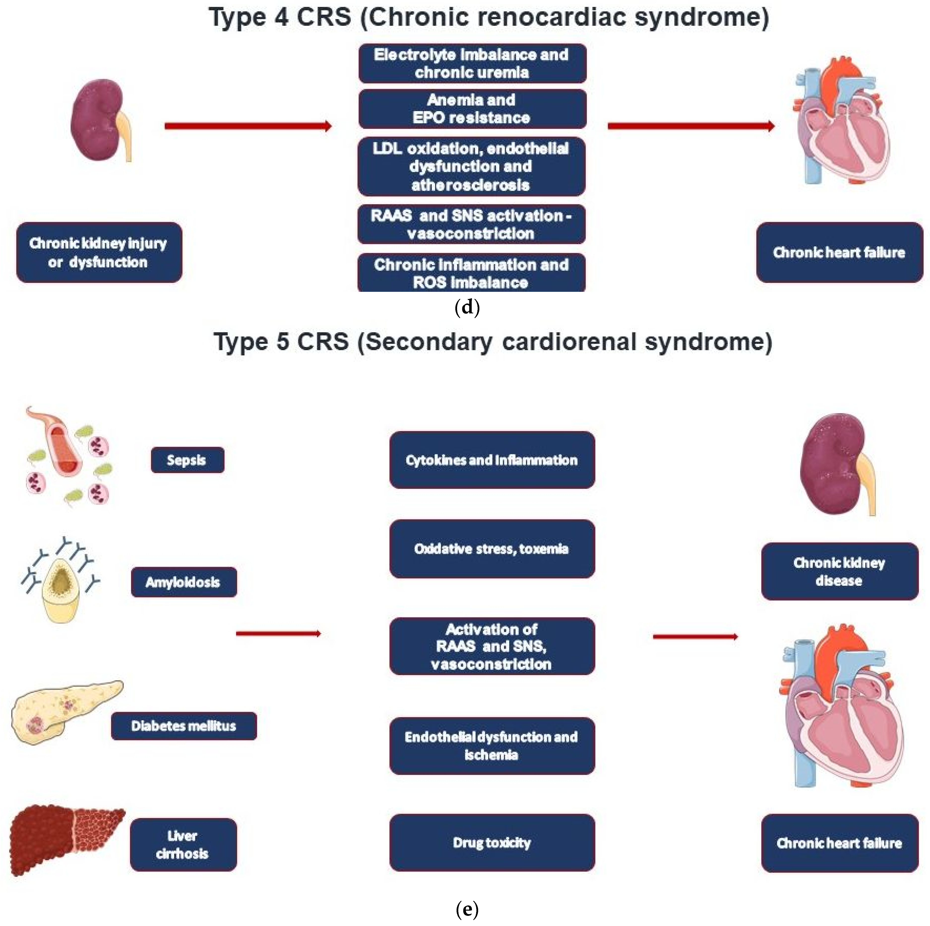 jcm-free-full-text-heart-failure-and-cardiorenal-syndrome-a