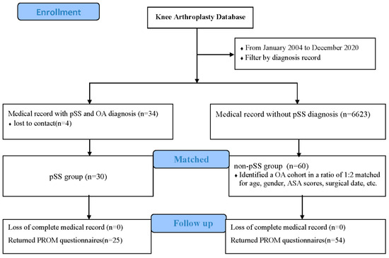 JCM | Free Full-Text | Total Knee Arthroplasty in Patients with Primary ...