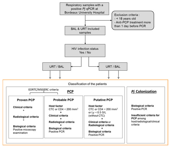 jcm-free-full-text-interest-of-a-commercialized-pneumocystis