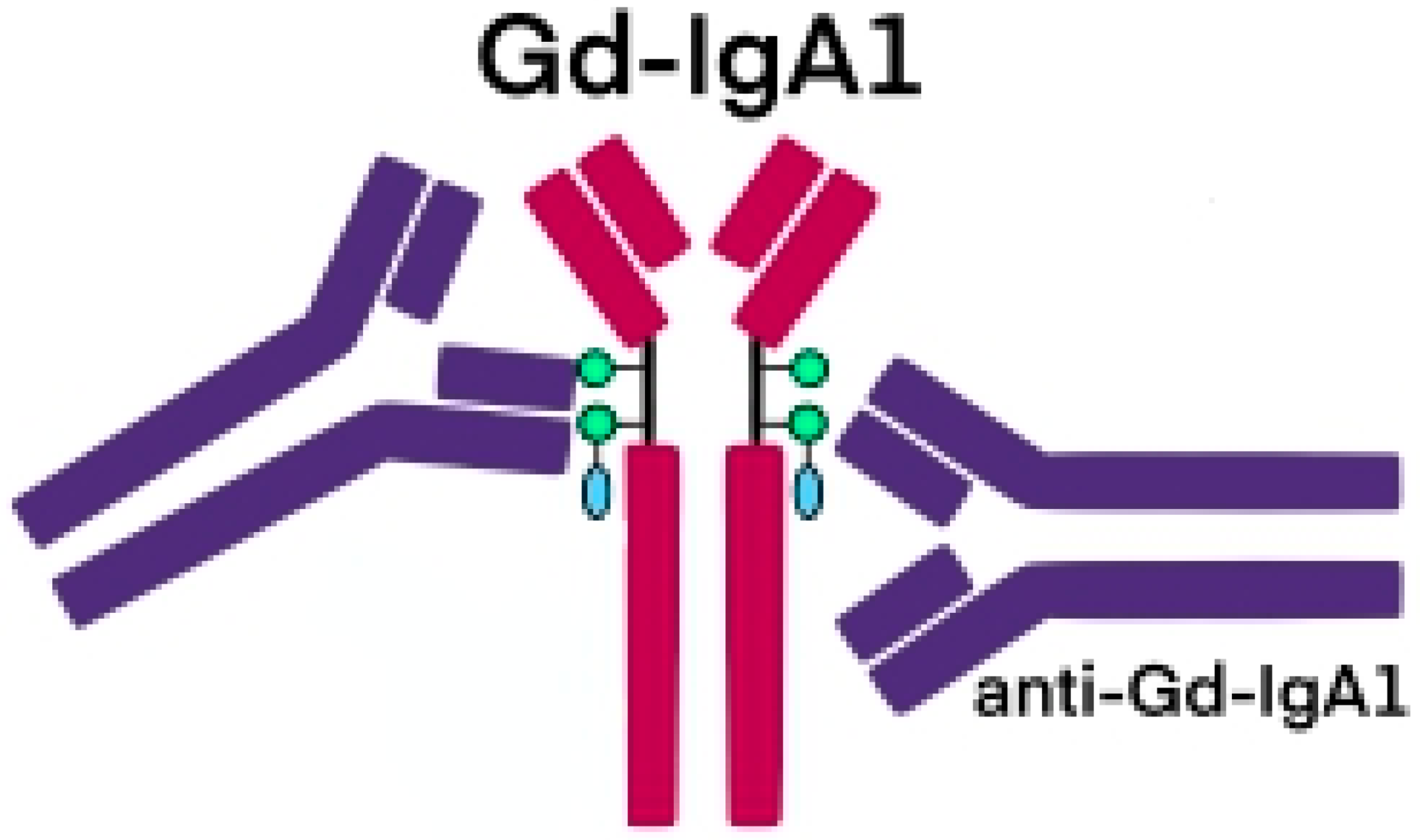 JCM | Free Full-Text | Viral Infections May Be Associated with Henoch