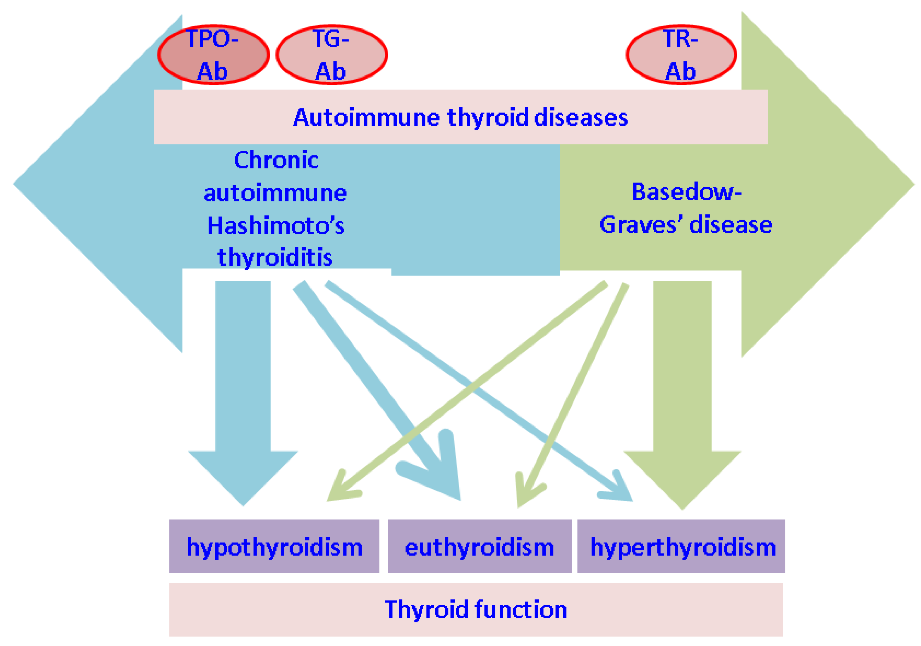 JCM Free Full Text Study Of The Thyroid Profile Of Patients With 