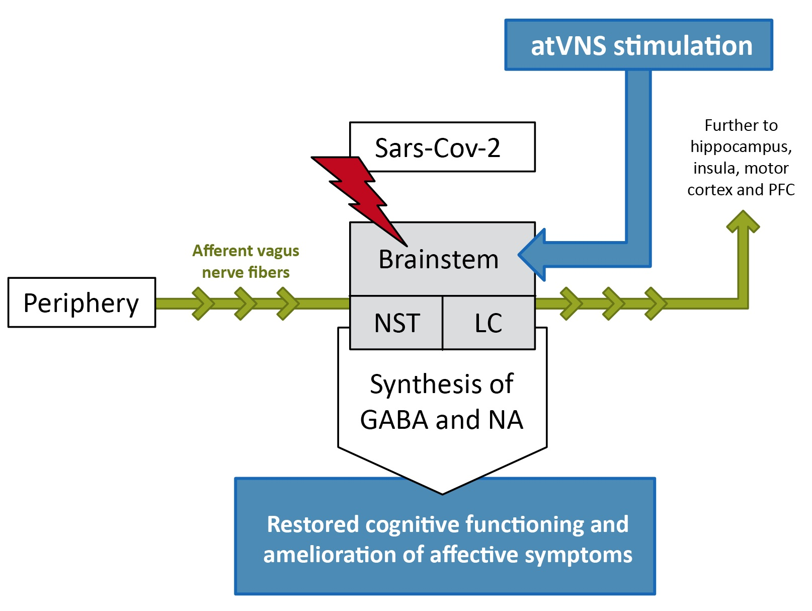 Vagus Nerve Stimulation (Discharge Care)