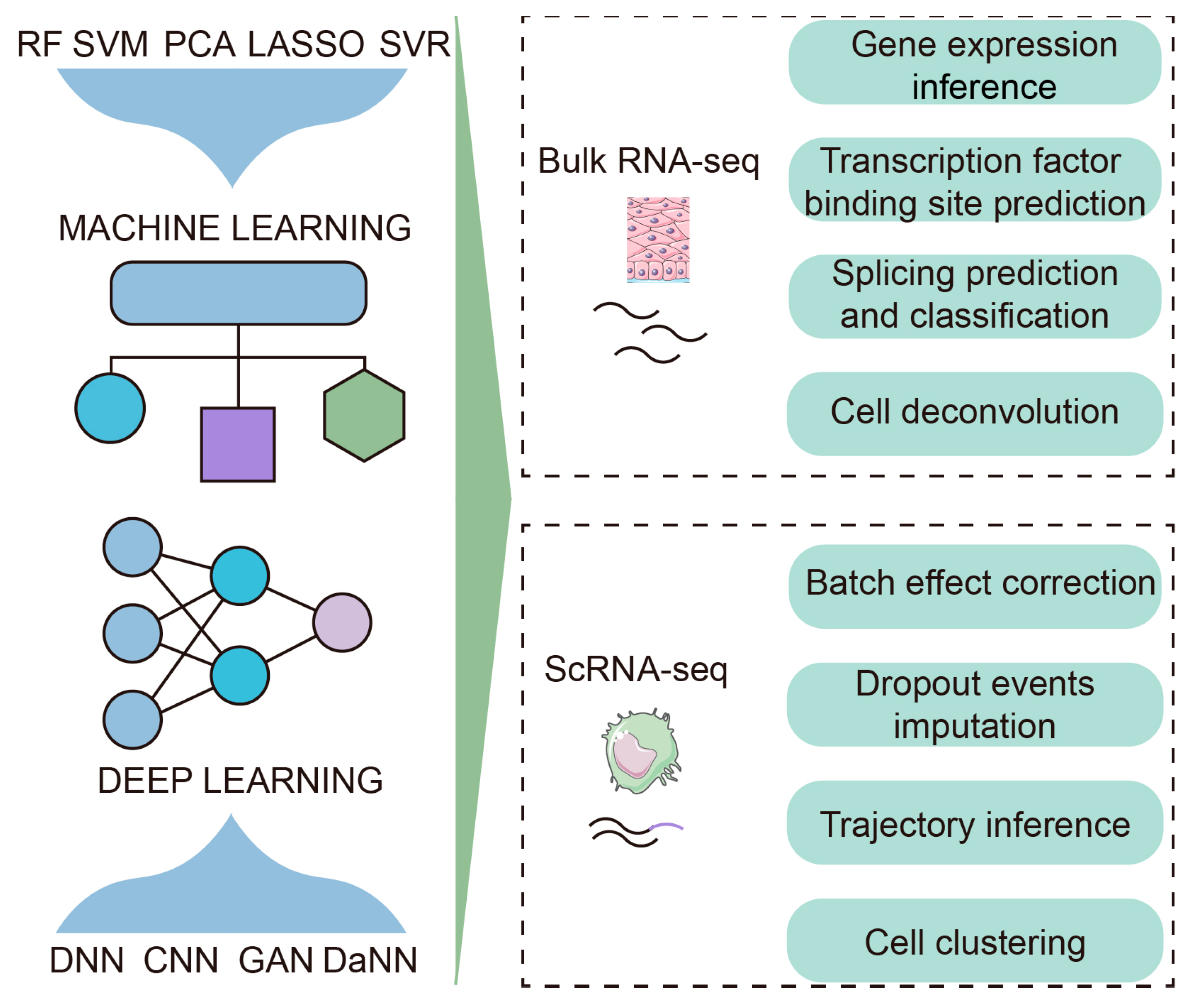 Jcm Free Full Text Artificial Intelligence Assisted Transcriptomic Analysis To Advance 6728