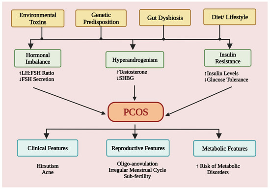 JCM | Free Full-Text | Polycystic Ovary Syndrome: Etiology, Current ...