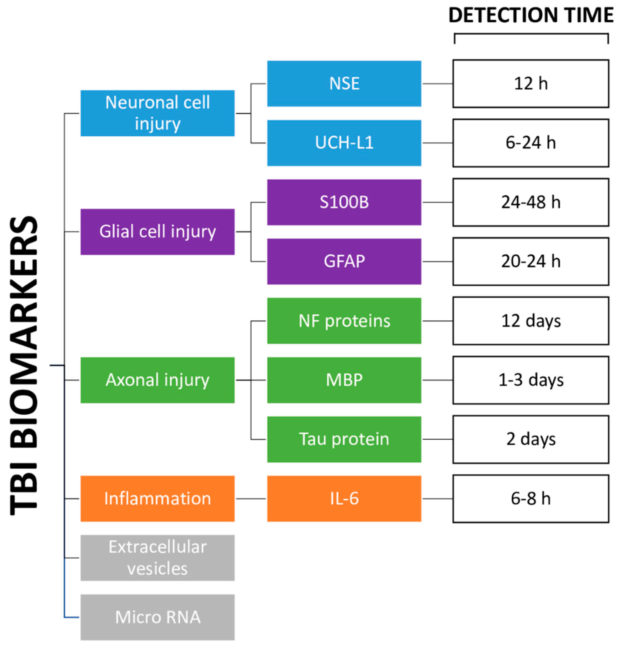 Challenges Of The Effectiveness Of Traumatic Brain Injuries Biomarkers Challenges Of The Effectiveness Of Traumatic Brain Injuries Biomarkers
