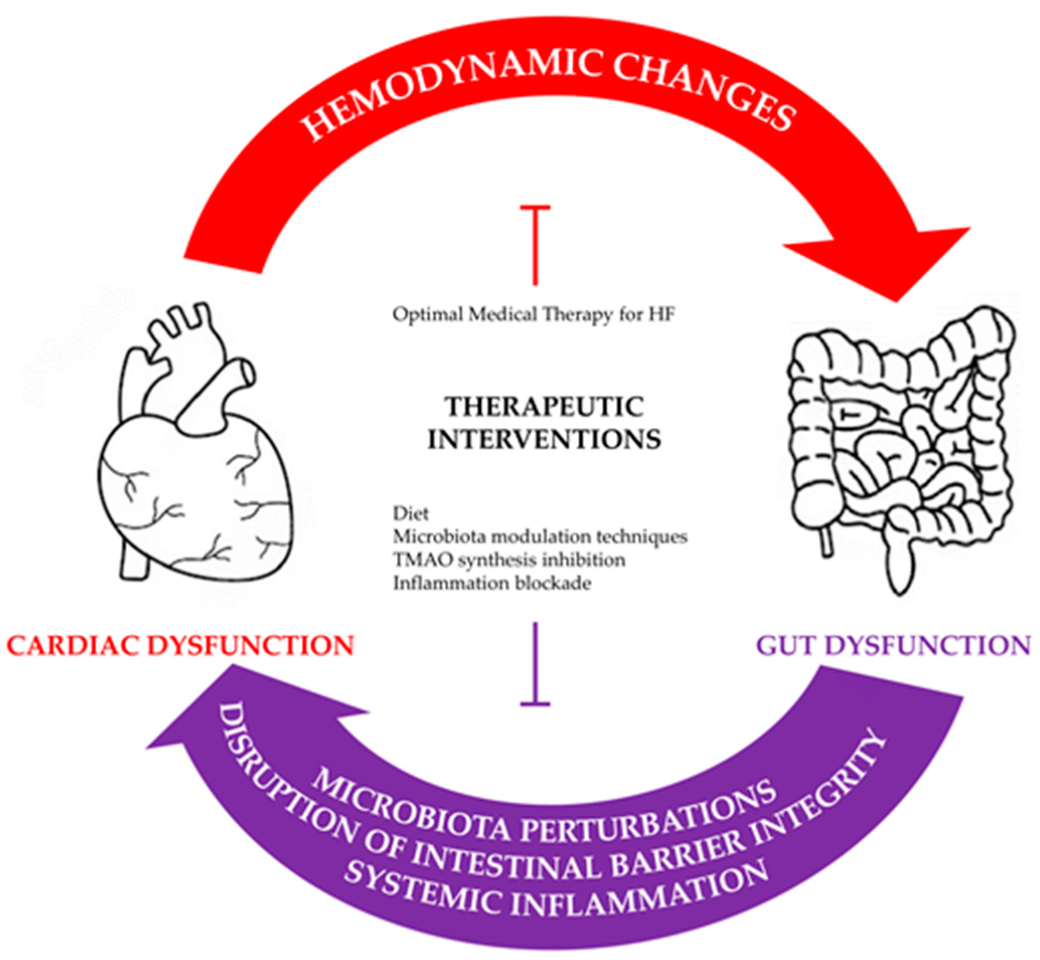 JCM | Free Full-Text | Gut Failure: A Review of the