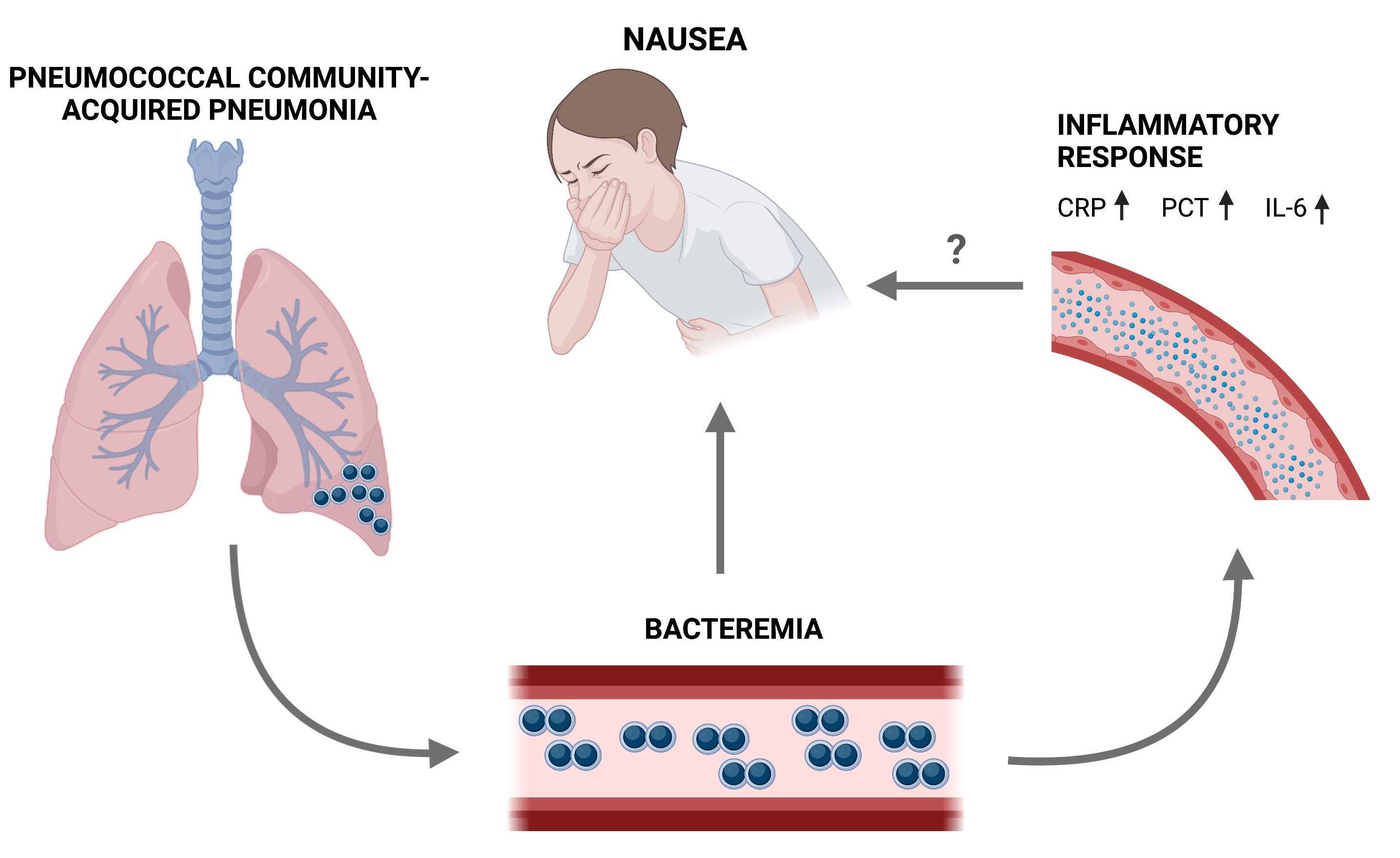 jcm-free-full-text-nausea-predicts-bacteremia-in-immunocompetent