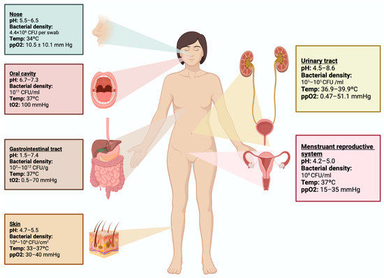 Urinary Tract Infections and Bacterial Vaginosis