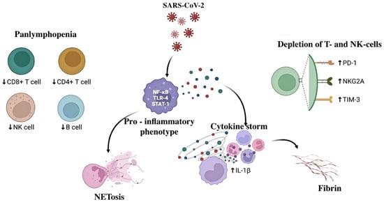 JCM | Free Full-Text | Inflammation and Immune Reactions in the Fetus ...