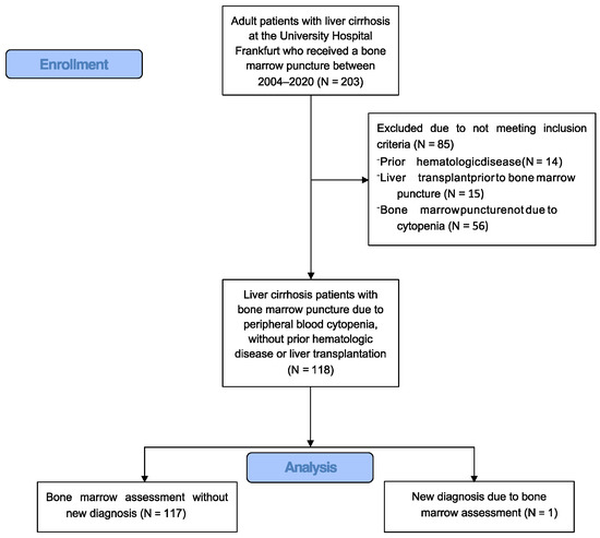 jcm-free-full-text-bone-marrow-assessment-in-liver-cirrhosis