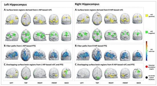 Reorganizations of latency structures within the white matter from