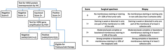 Novel Biomarkers of Gastric Cancer: Current Research and