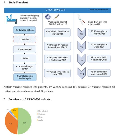 Omicron Infection Process Response to Immunization against SARS-CoV-2 and Risk of Omicron ...