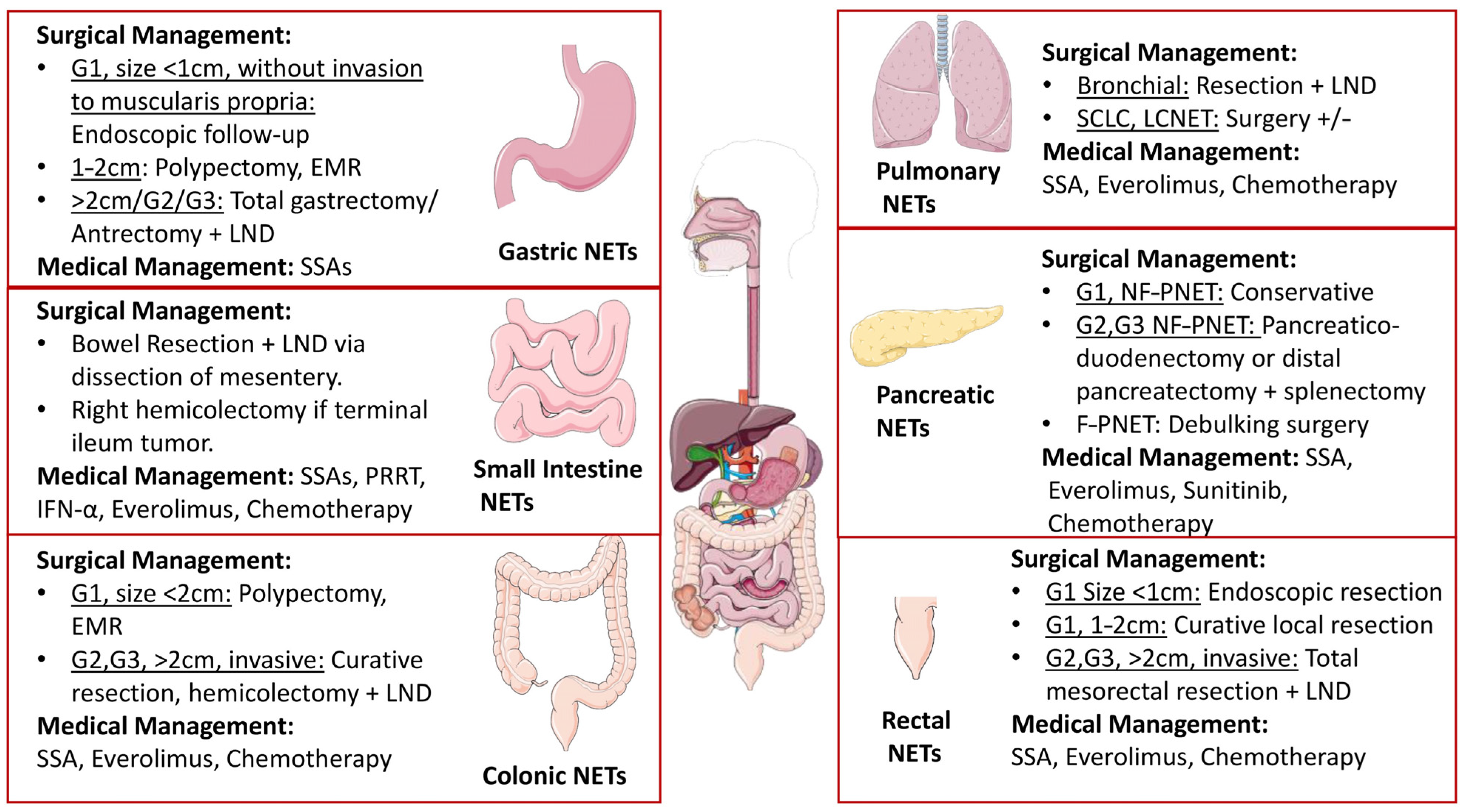 JCM | Free Full-Text | A Comprehensive Review on Neuroendocrine