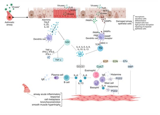 JCM | Free Full-Text | Advances in the Relationship between Respiratory ...