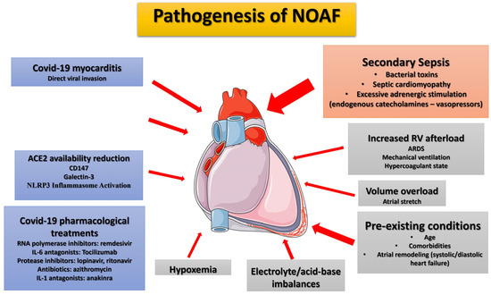 New-Onset Atrial Fibrillation in the Critically Ill COVID-19 Patients ...