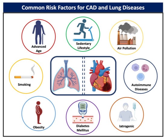 JCM | Free Full-Text | The Evaluation and Management of Coronary Artery ...