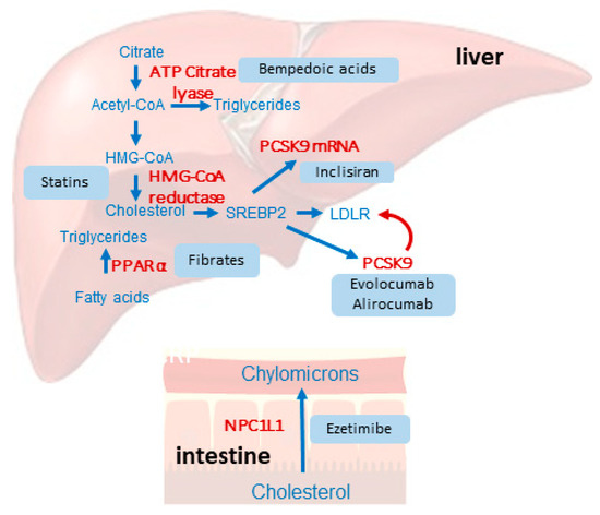 Low Density Lipoprotein Cholesterol Lowering Drugs A Narrative  