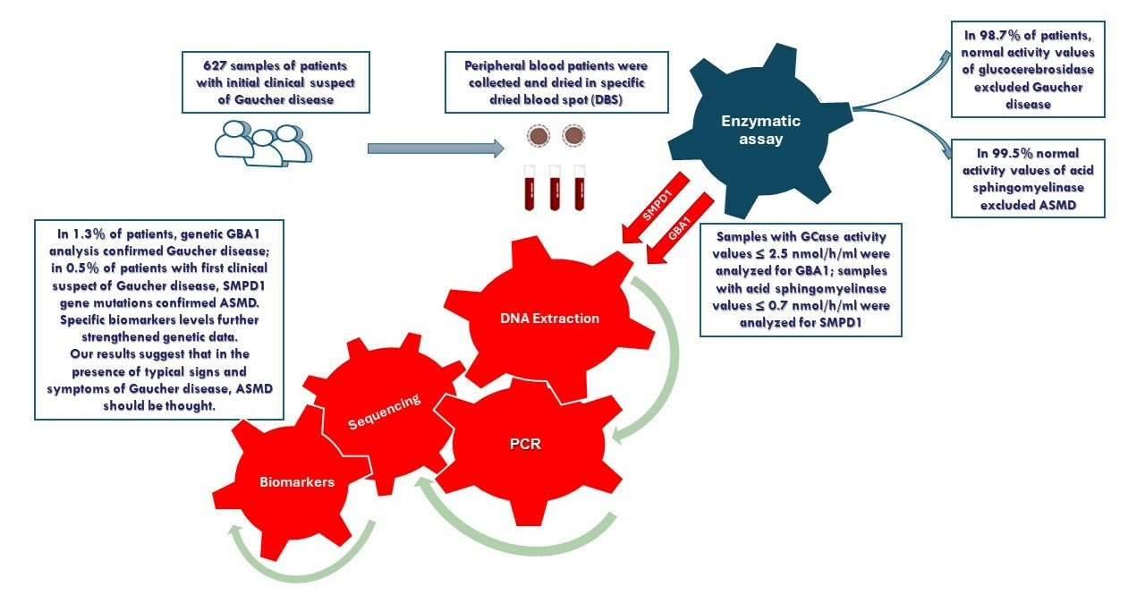 JCM | Free Full-Text | Gaucher Disease Or Acid Sphingomyelinase ...