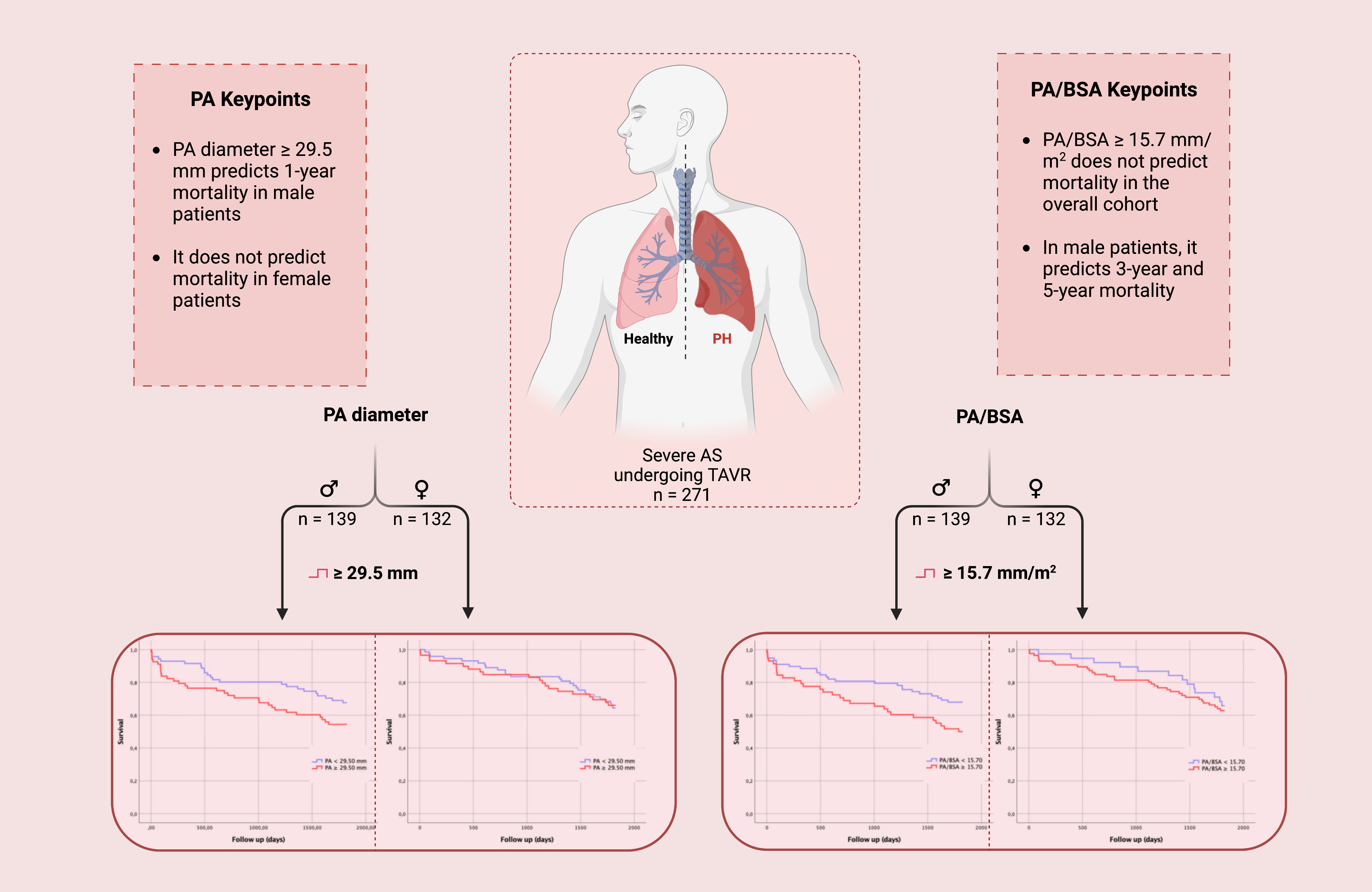 Jcm Free Full Text Radiological Parameters For The Detection Of Pulmonary Hypertension In 2766