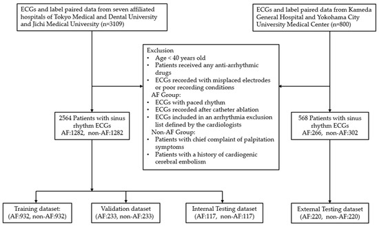 Edge AI Model Deployed for Real-Time Detection of Atrial Fibrillation ...