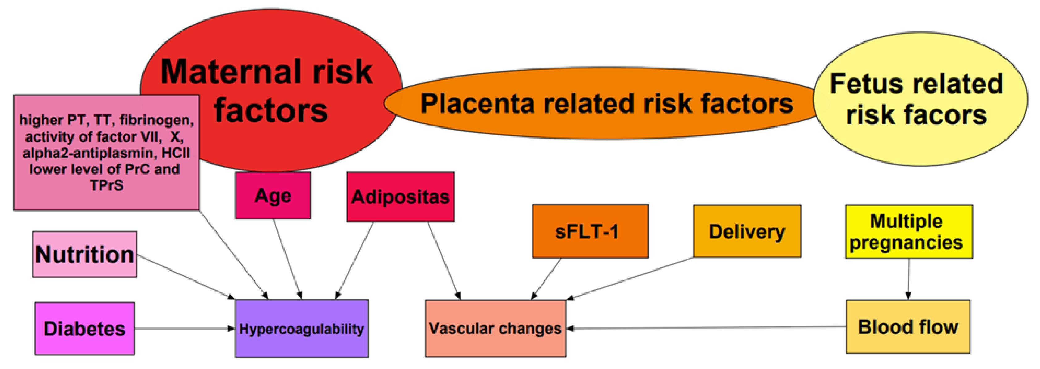 Pulmonary Embolism in Pregnancy A Review for Clinical Practitioners 