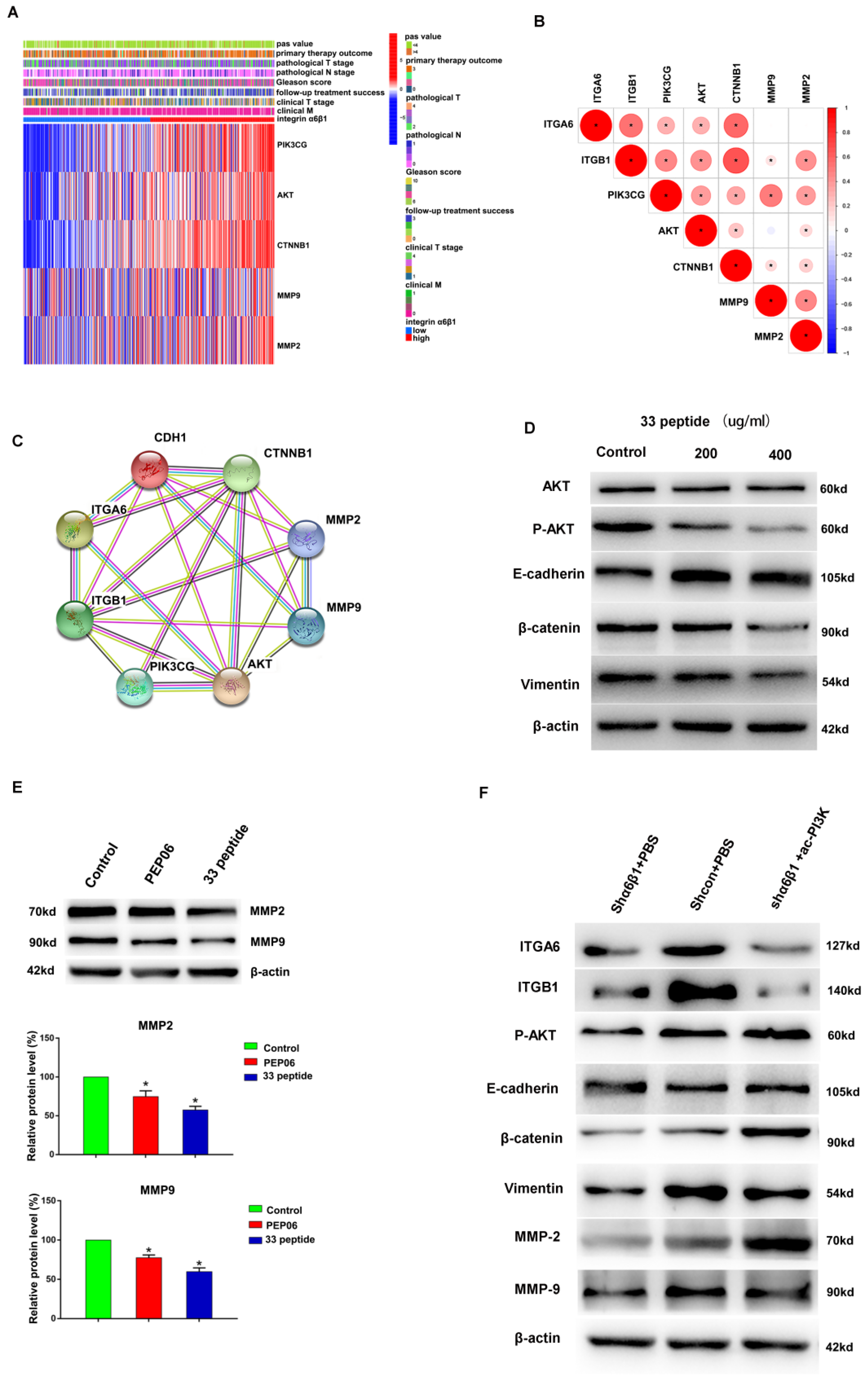 Correction: Liu et al. Endostatin 33 Peptide Is a Deintegrin α6β1 Agent ...