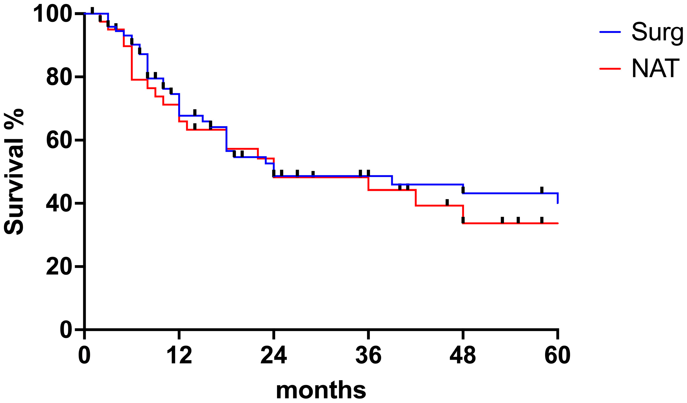 JCM | Free Full-Text | Short- And Long-Term Outcomes In Elderly ...