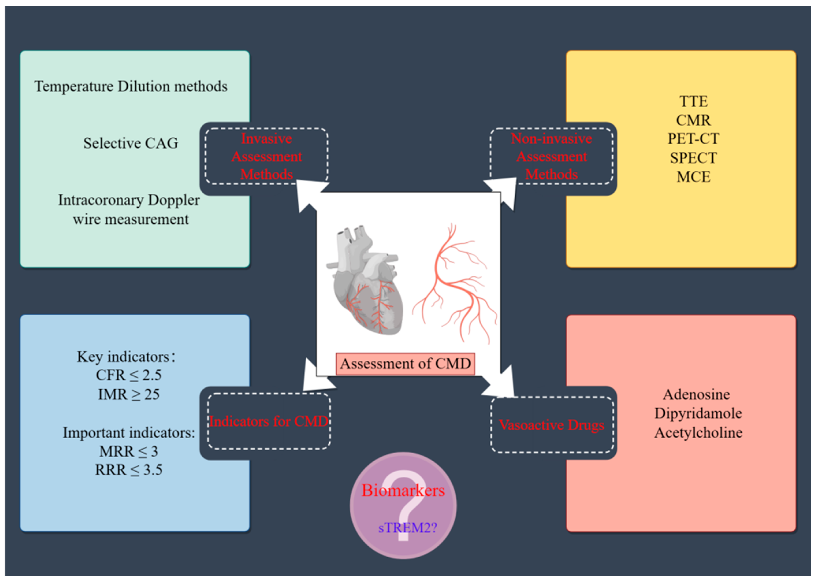 Single-Center Analysis of Soluble TREM2 as a Biomarker in Coronary ...