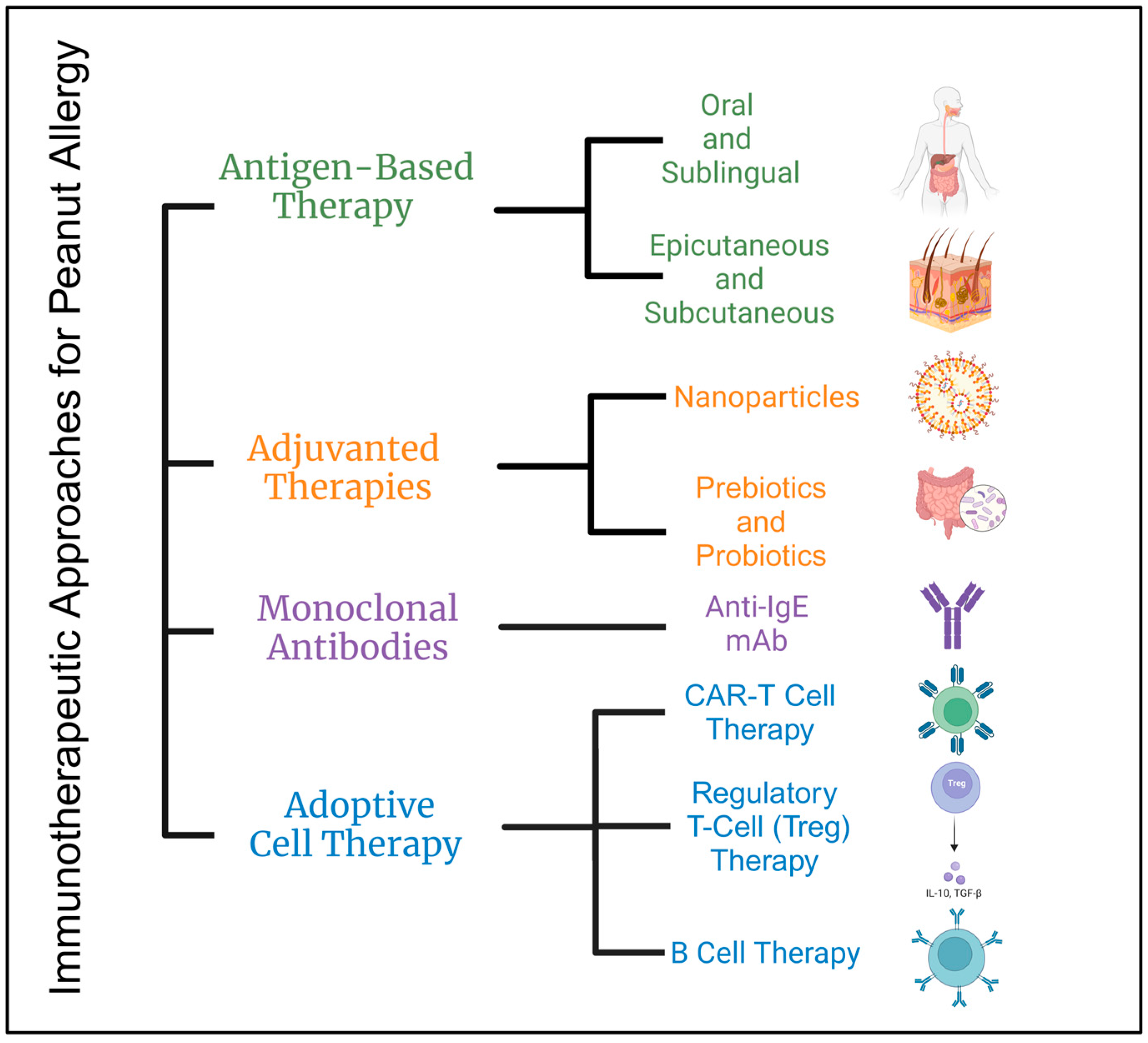 Immunotherapeutic Approaches to Peanut Allergy Treatment—Pre-Clinical ...