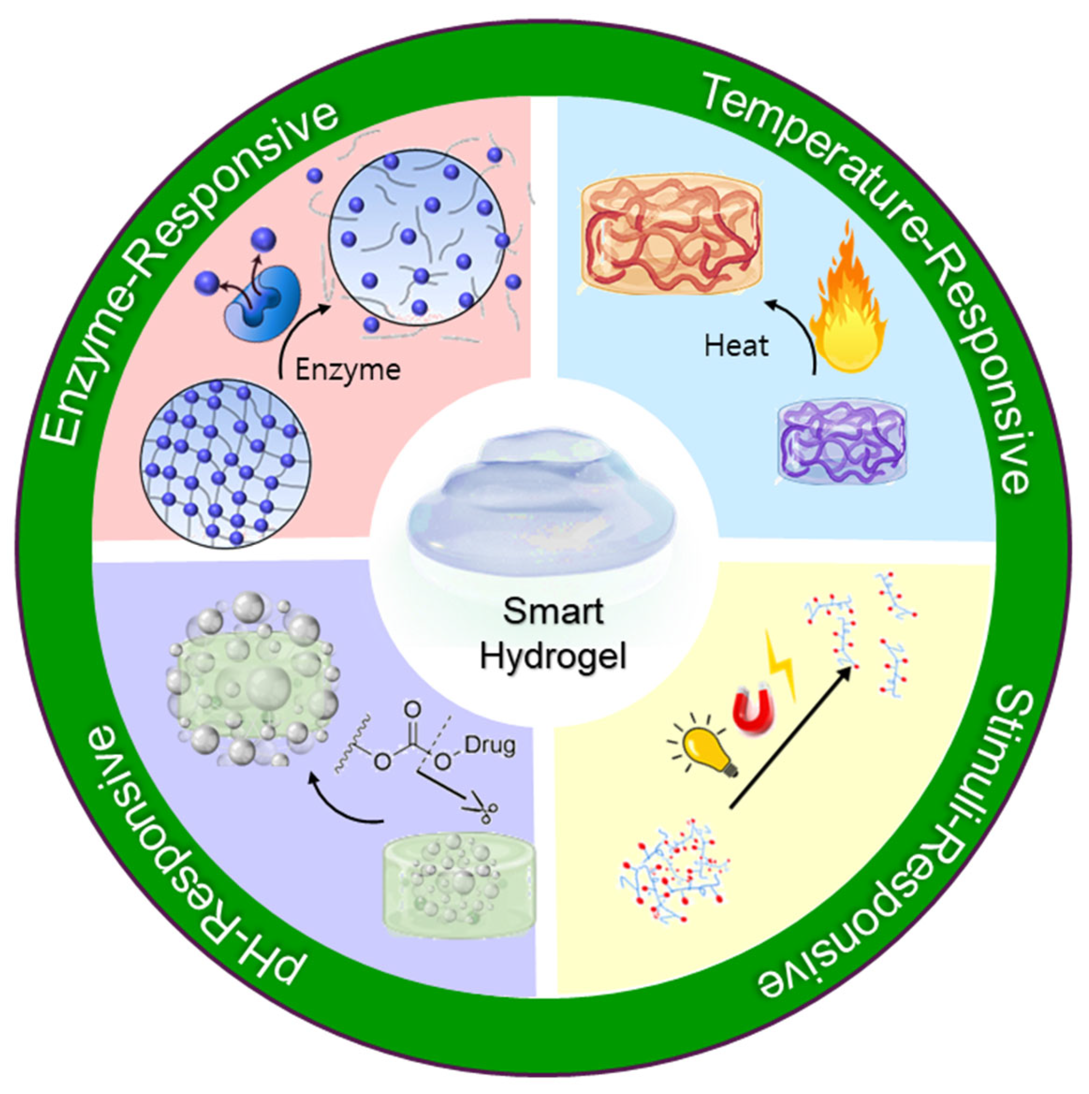 Hydrogel Drug Delivery Systems and Liposomal Bupivacaine: Innovations ...