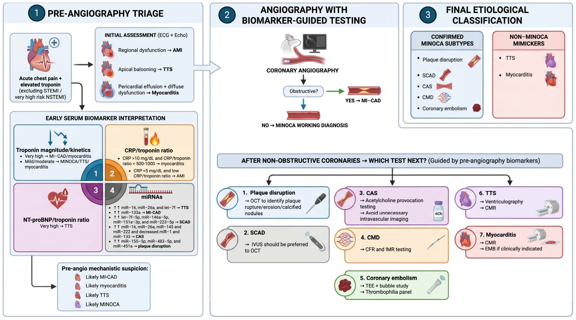 The Role of Serum Biomarkers for the Differential Diagnosis and ...