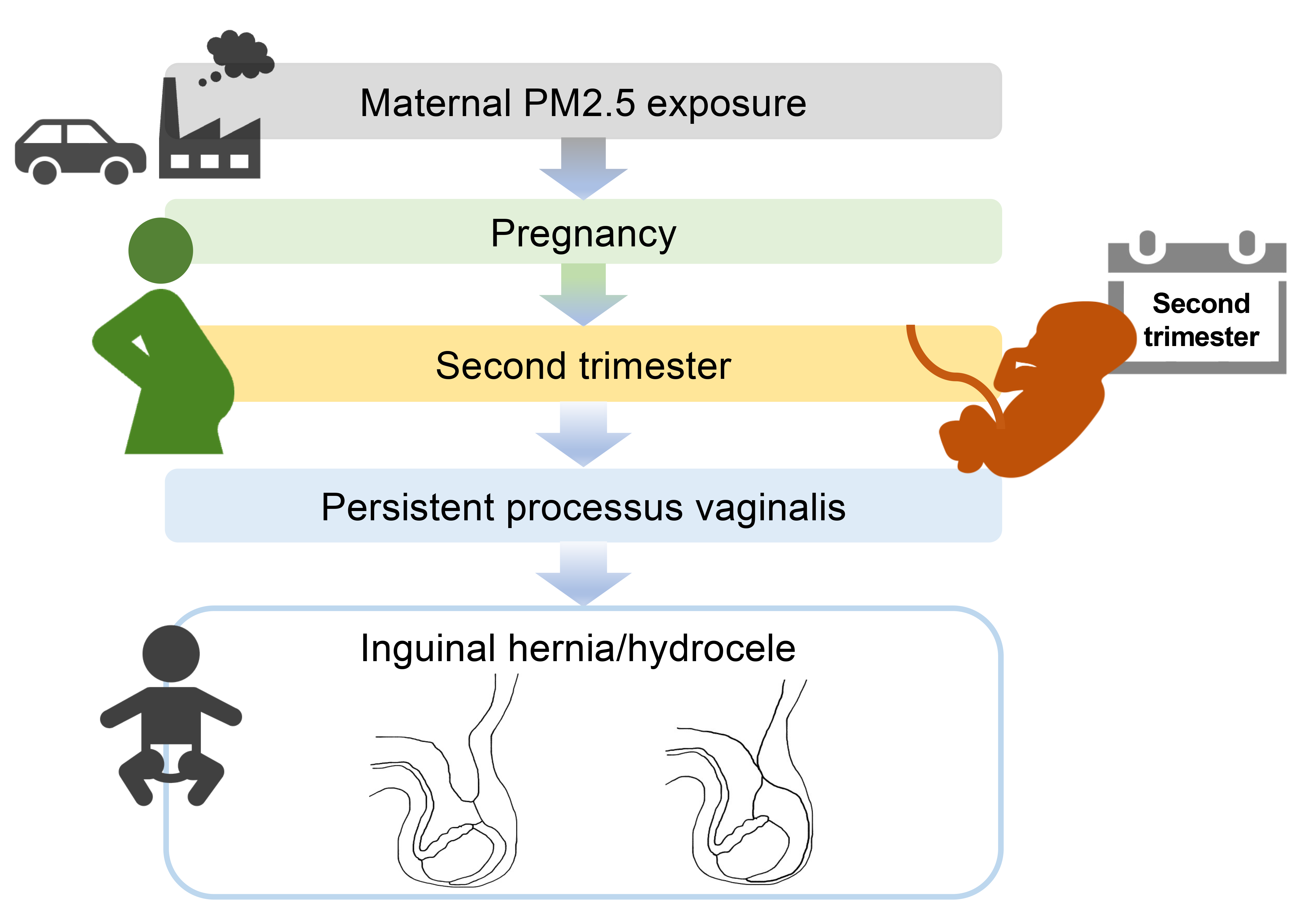 Prenatal Fine Particulate Matter (PM2.5) Exposure and the Risk of ...
