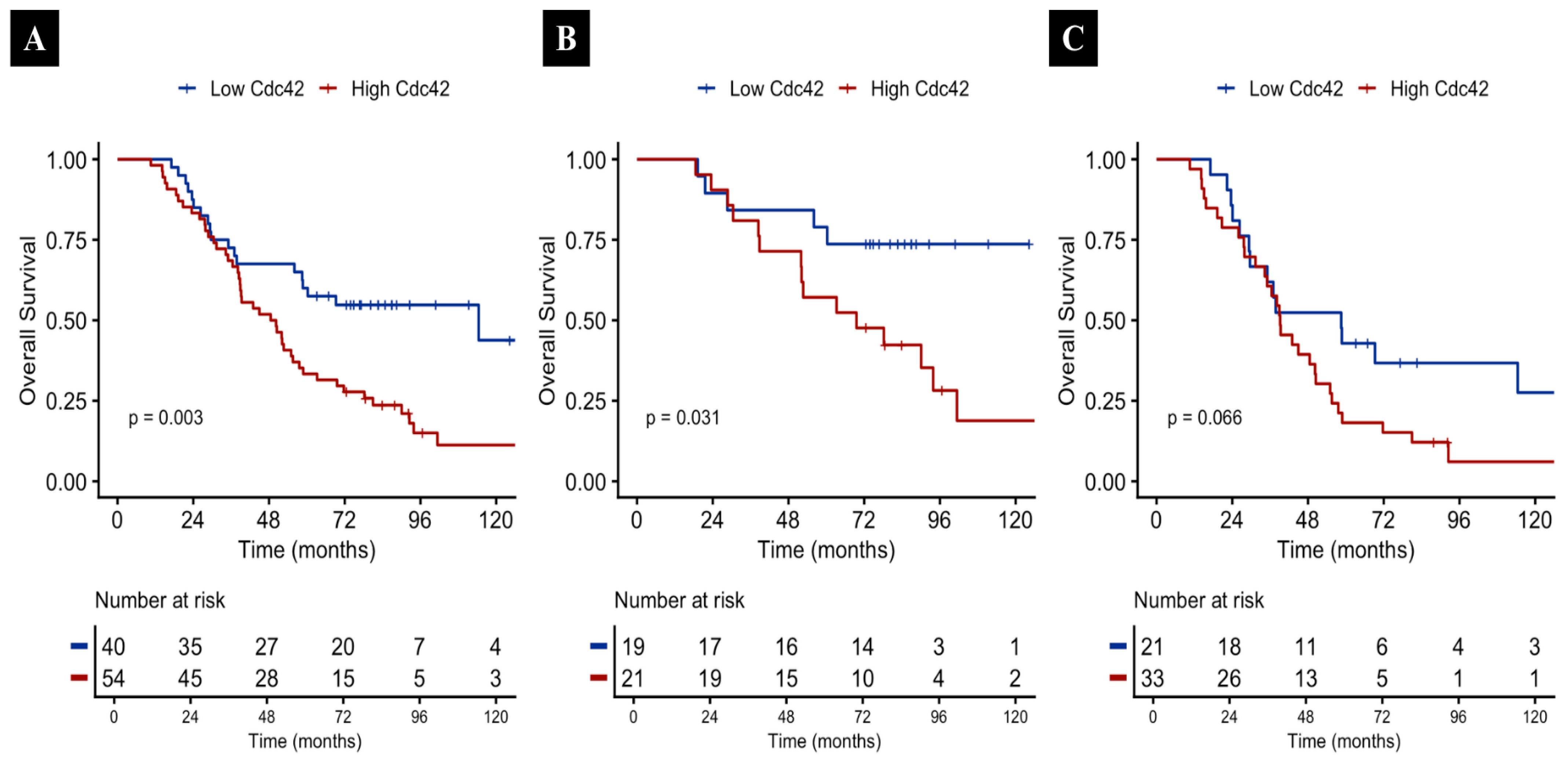 Prognostic Significance of Cdc42 Expression in Colorectal Cancer and ...