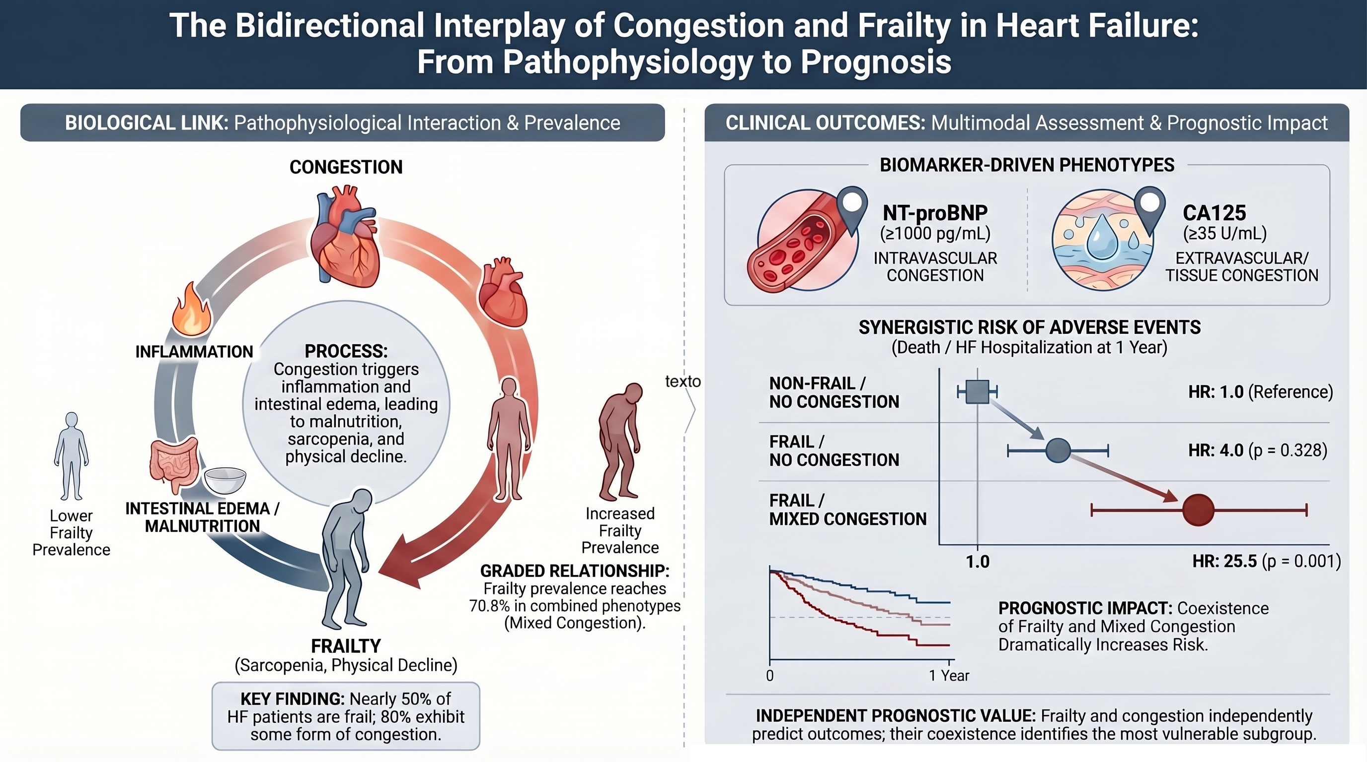 Frailty and Congestion in Patients with Heart Failure: Clinical ...