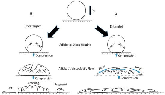 J. Compos. Sci., Free Full-Text, spider web 