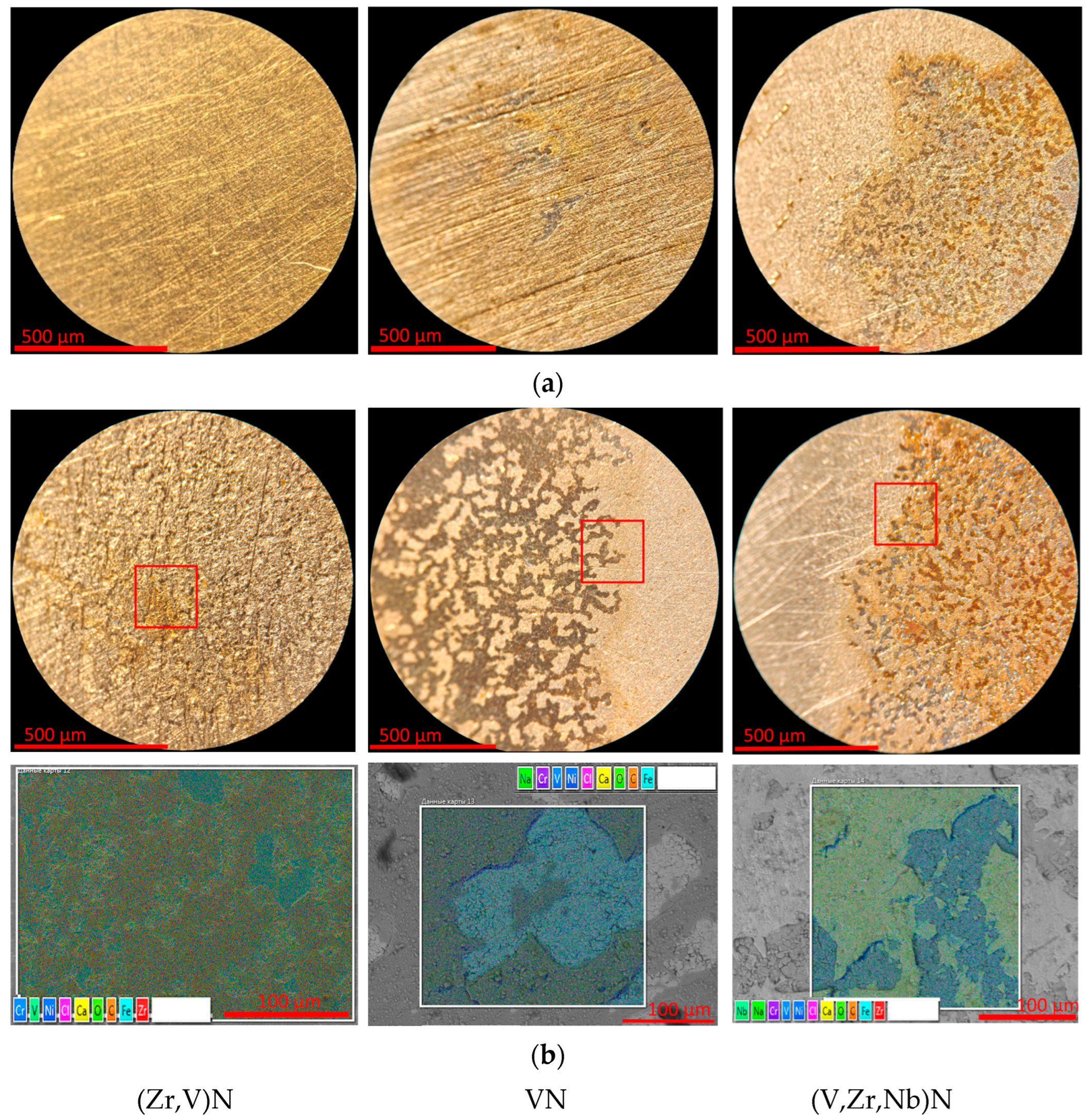 レコード A large-scale curated and filterable dataset for cryo-EM