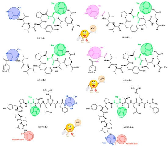 Metal–Peptide Complexes with Antimicrobial Potential for Cotton 