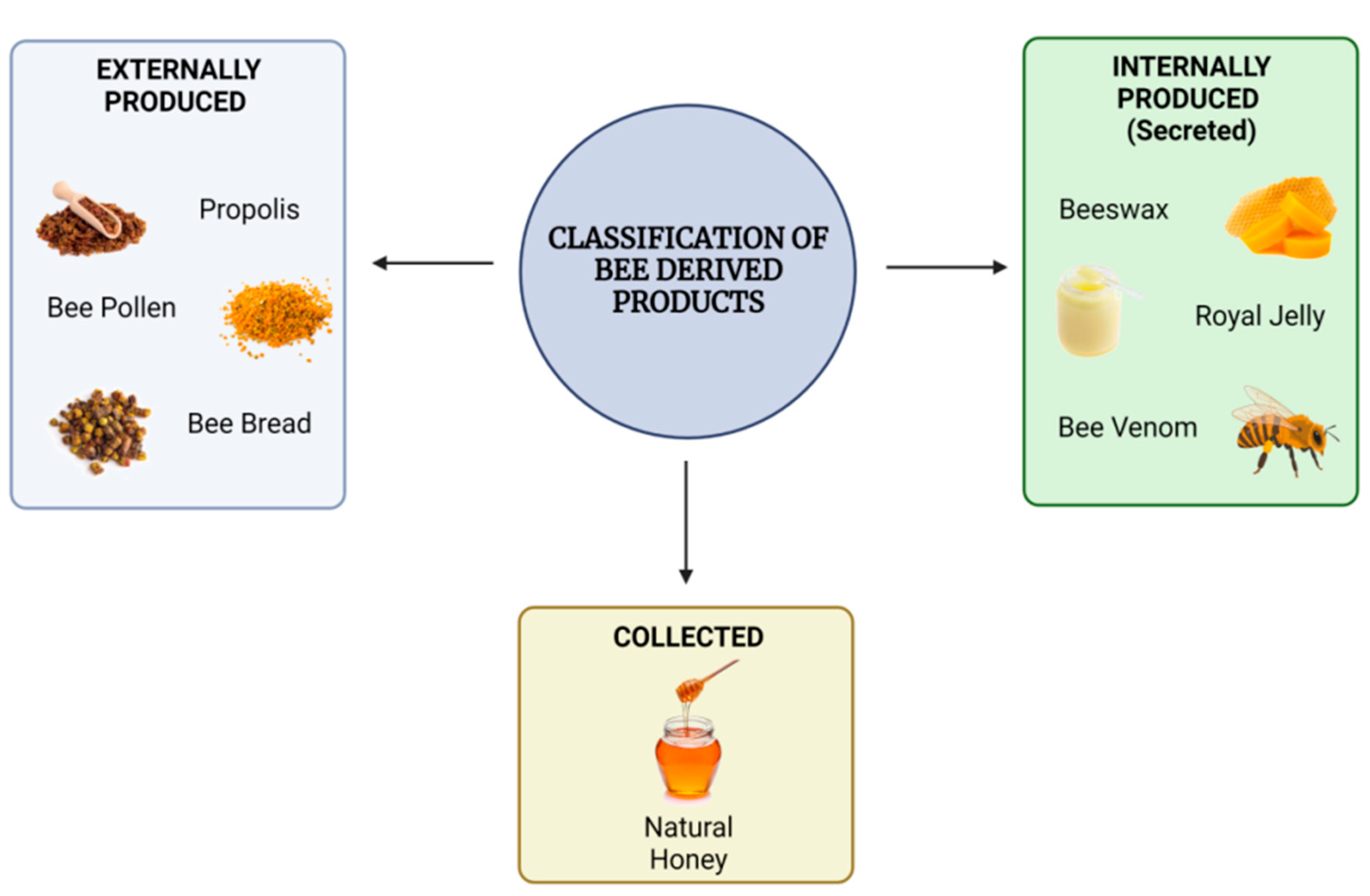 JFB Free Full-Text Revolutionizing the Use of Honeybee Products in Healthcare A Focused Review on Using Bee Pollen as a Potential Adjunct Material for Biomaterial Functionalization pic
