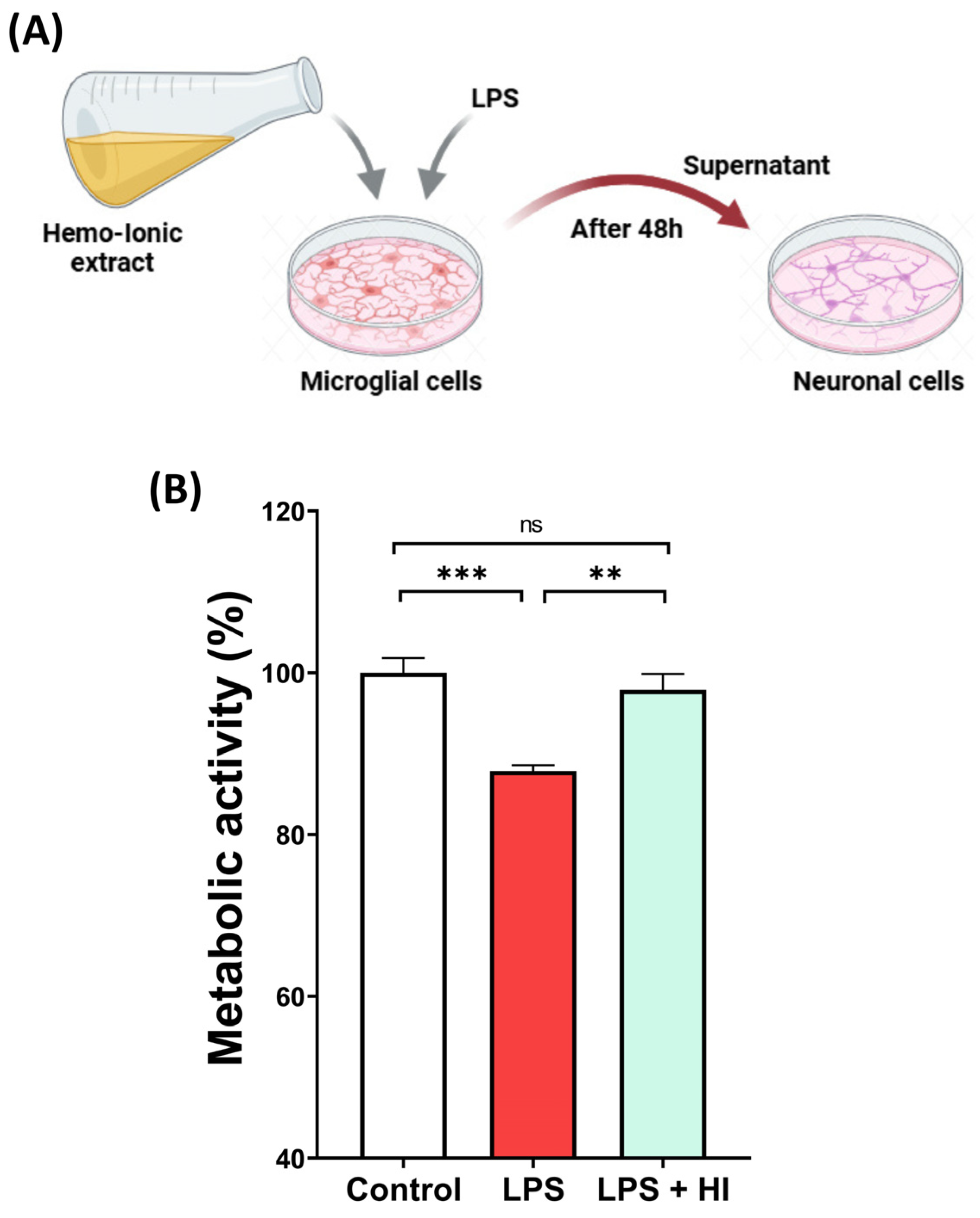 In Vitro Evaluation of Anti-Inflammatory and Antioxidant Properties of ...